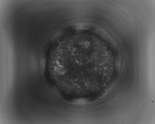 X0000102310219200808221453