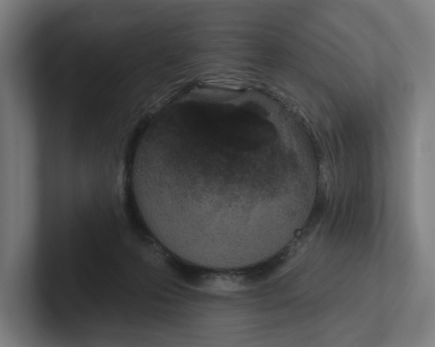 X0000102310223200808221453