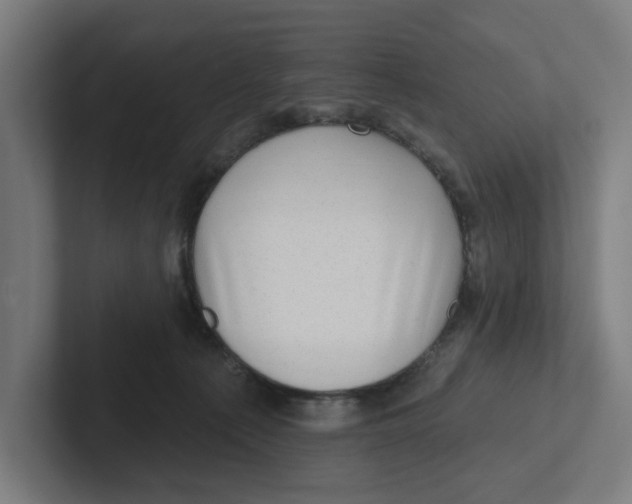 X0000102310225200808221453