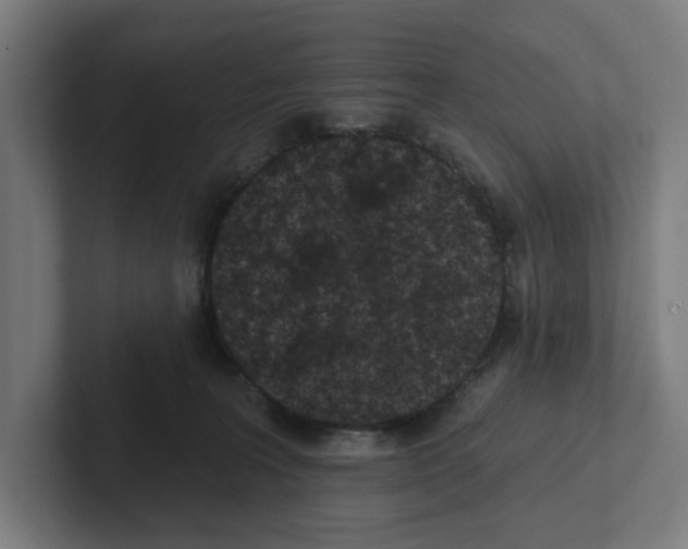 X0000102310227200808221453
