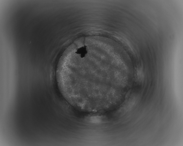 X0000102310228200808221453