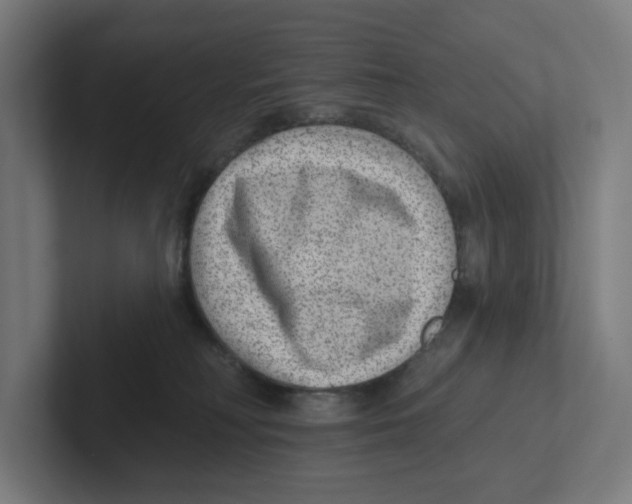 X0000102310230200808221453