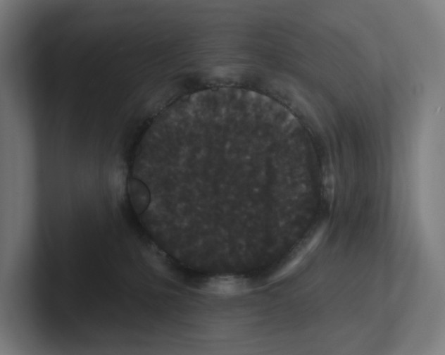 X0000102310231200808221453