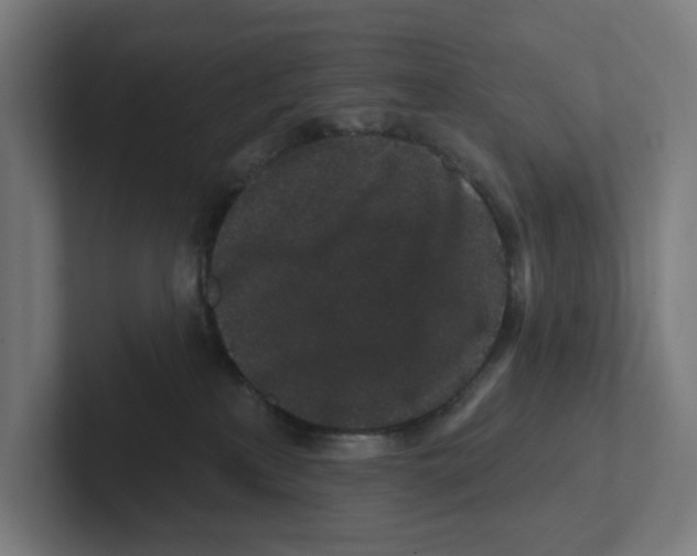 X0000102310233200808221452