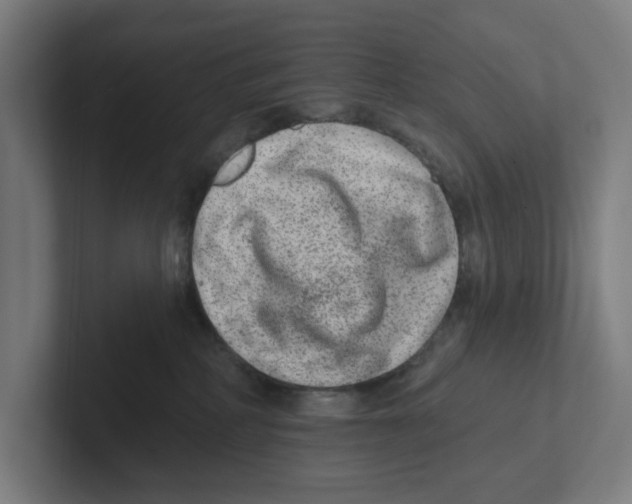 X0000102310234200808221452