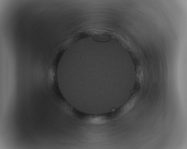 X0000102310235200808221452