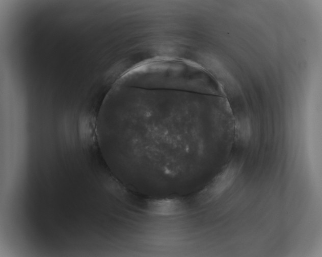 X0000102310237200808221452