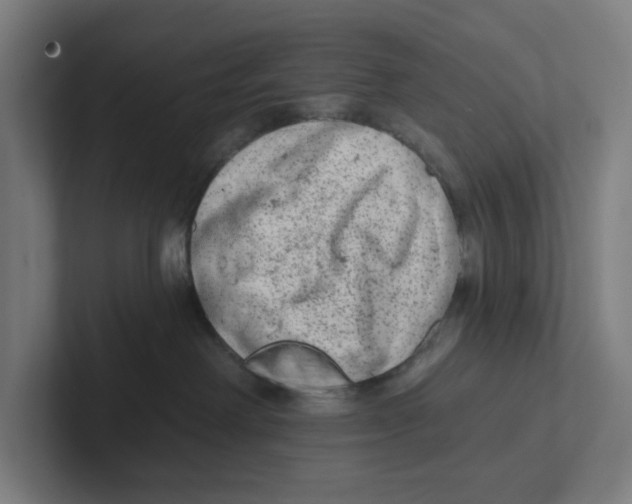 X0000102310238200808221452