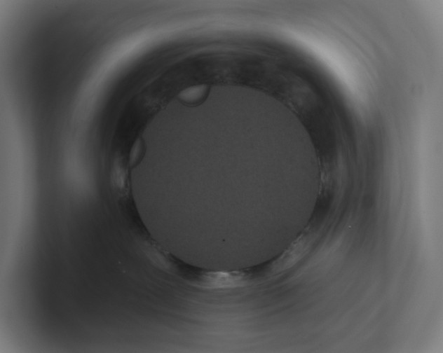 X0000102310239200808221452