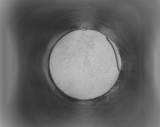 X0000102310241200808221452