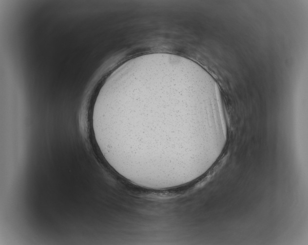 X0000102310245200808221452