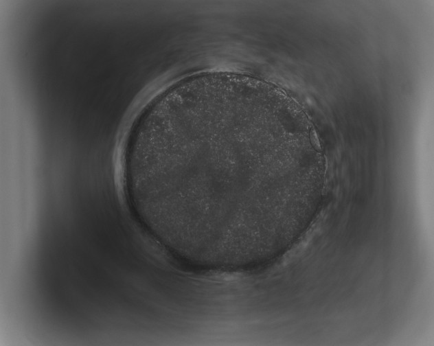 X0000102310247200808221452