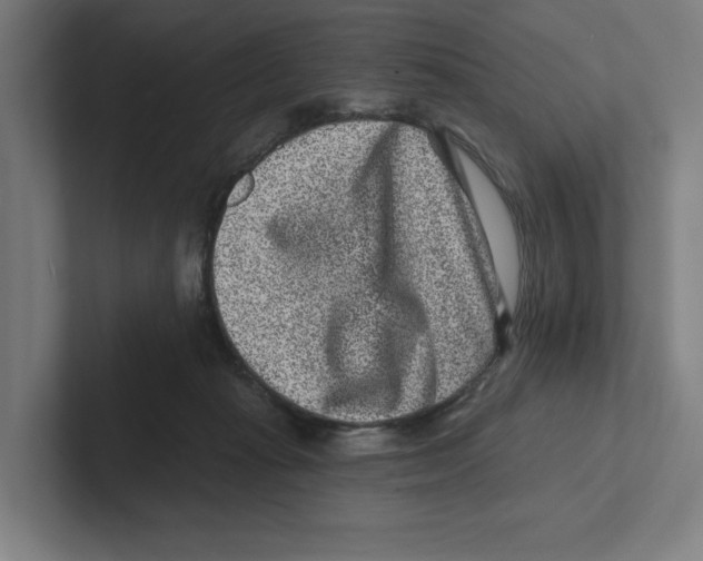 X0000102310269200808221452