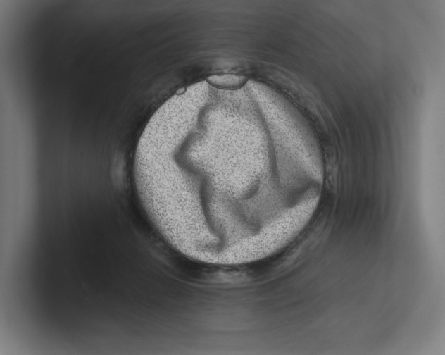 X0000102310270200808221452