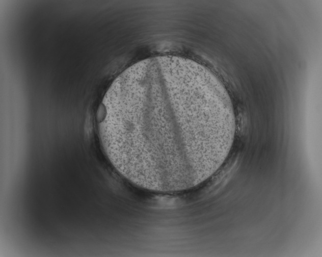 X0000102310272200808221452