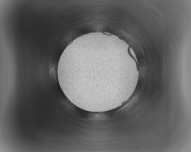 X0000102310286200808221452