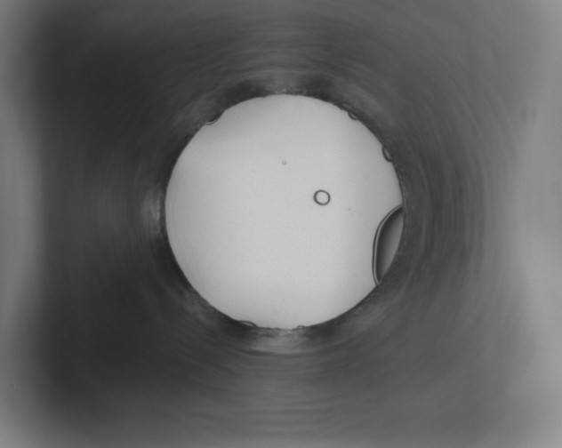 X0000102310288200808221452