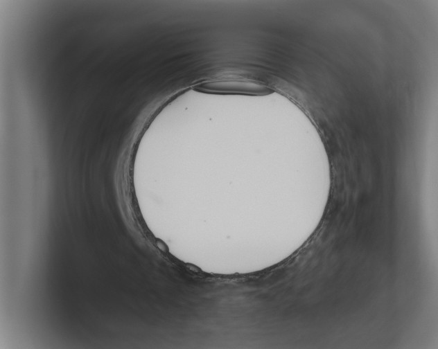 X0000102310289200808221452