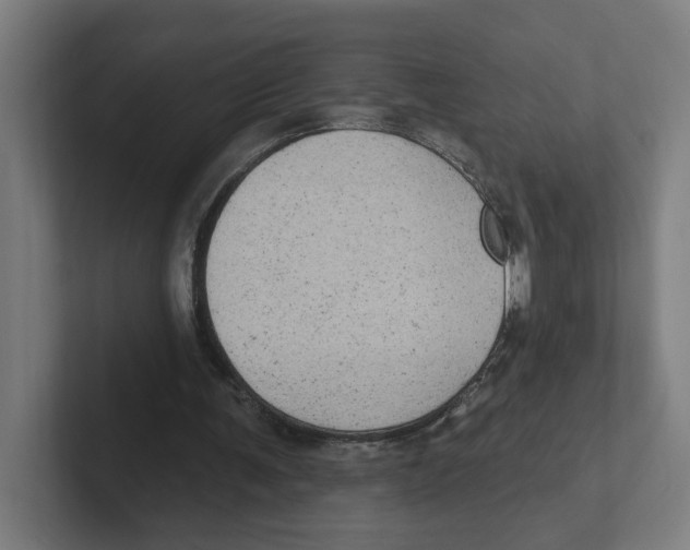 X0000102310291200808221452