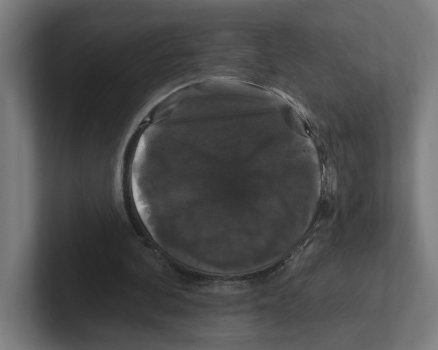 X0000102310292200808221452
