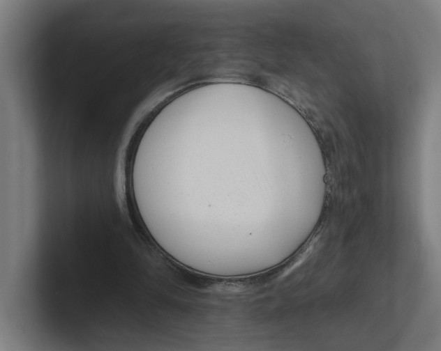 X0000102310294200808221452