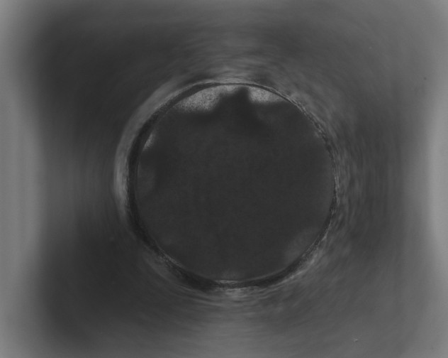 X0000102310295200808221452