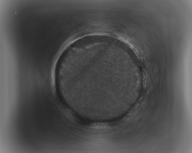 X0000102310296200808221452