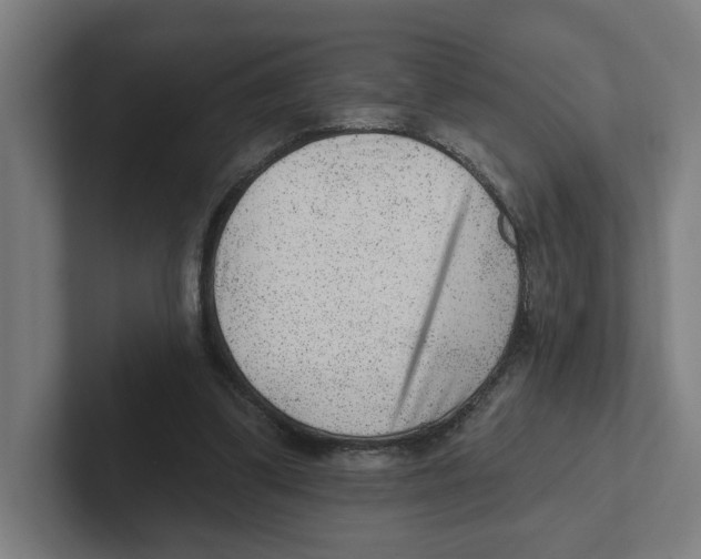 X0000102310299200808221452