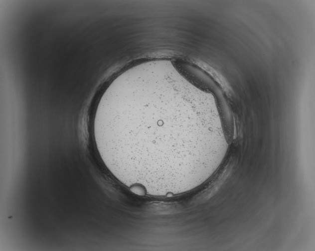 X0000102310300200808221452