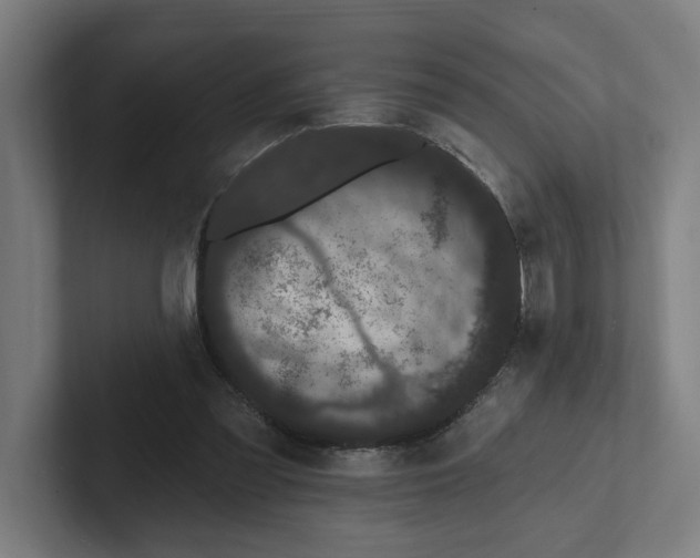 X0000102310301200808221452