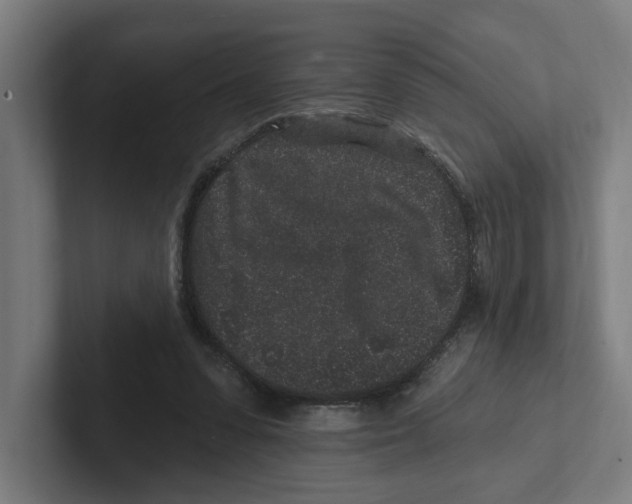 X0000102310303200808221452
