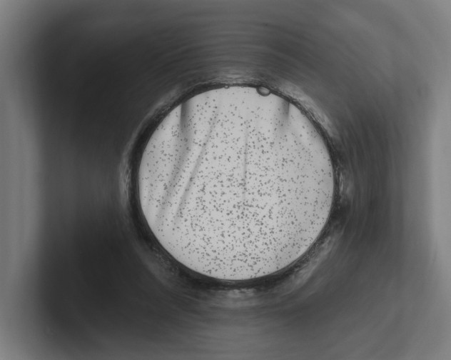 X0000102310304200808221452