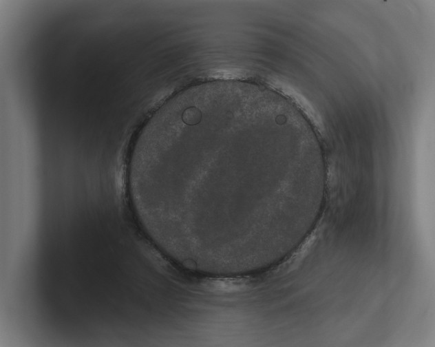 X0000102310305200808221452