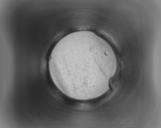 X0000102310308200808221452