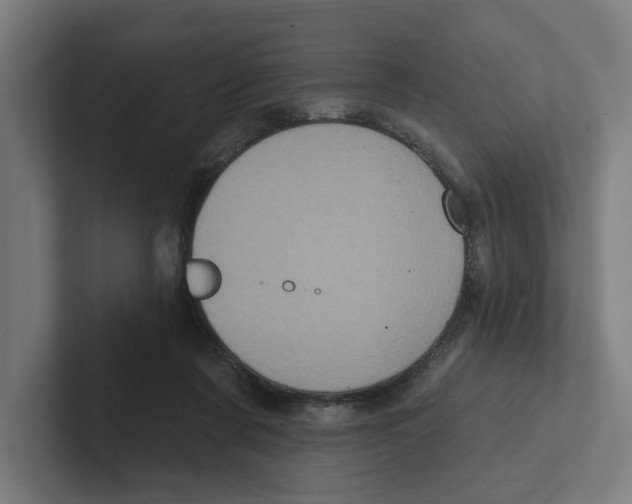 X0000102310311200808221451