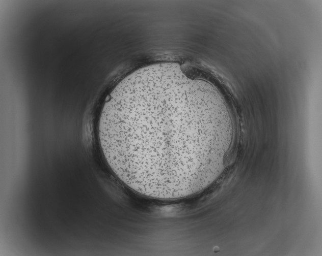 X0000102310312200808221451