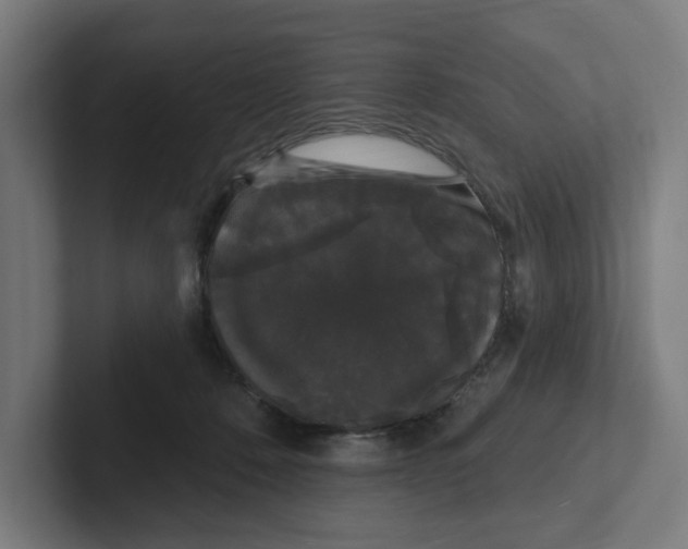 X0000102310320200808221451