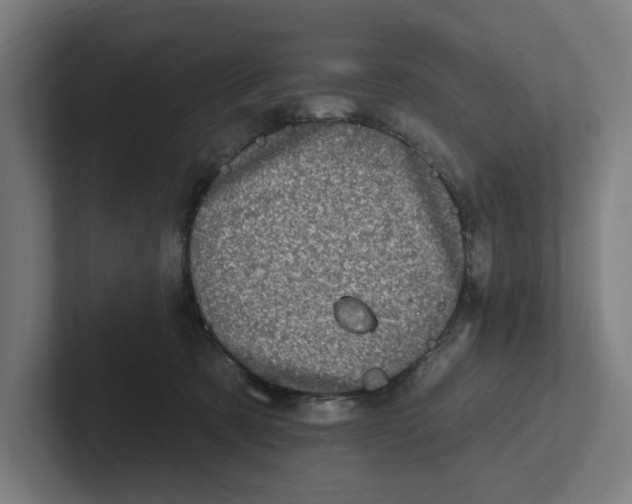 X0000102310321200808221451