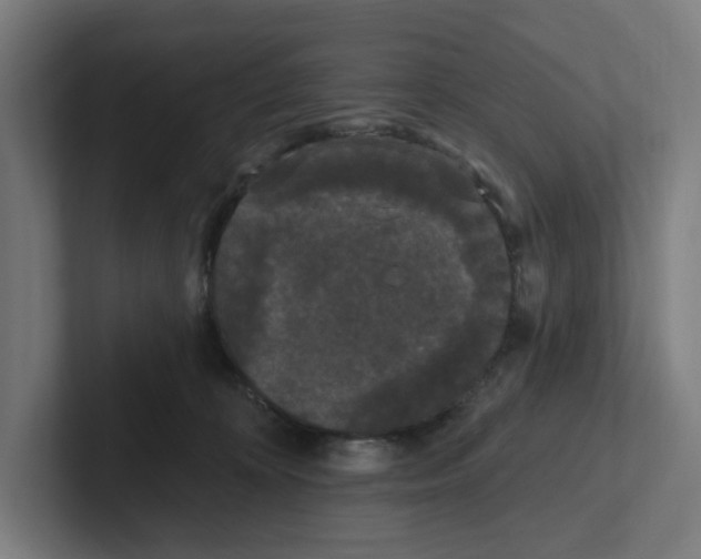 X0000102310324200808221451