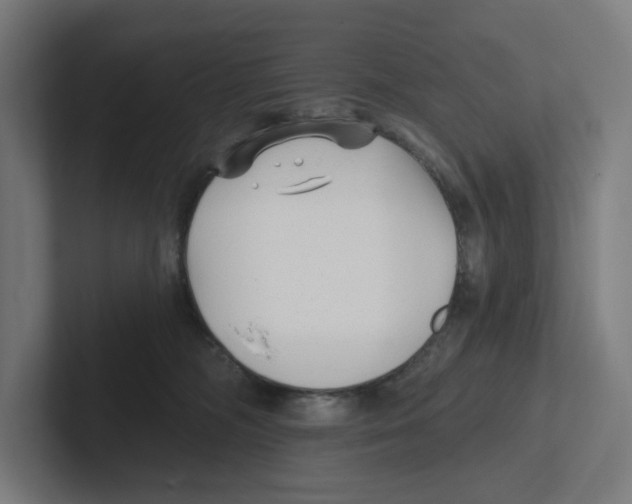 X0000102310326200808221451