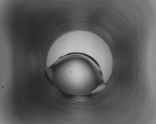 X0000102310328200808221451