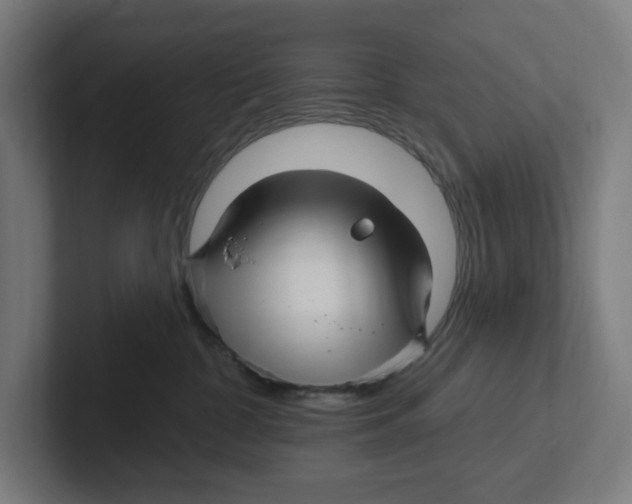 X0000102310332200808221451