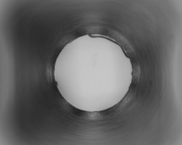 X0000102310333200808221451