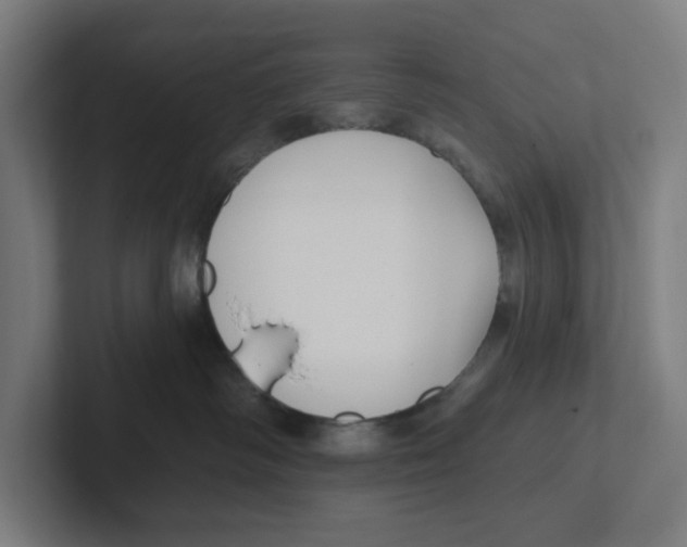 X0000102310334200808221451