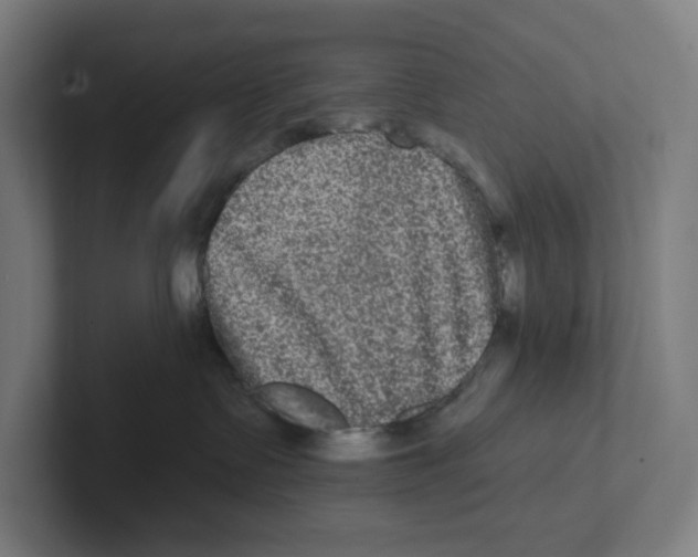 X0000102310335200808221451