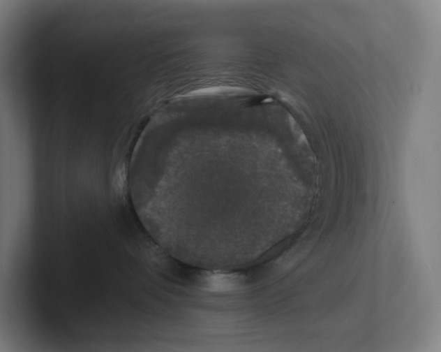 X0000102310336200808221451