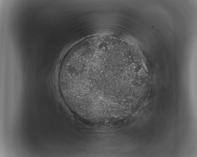 X0000102310337200808221451