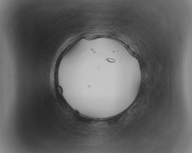 X0000102310340200808221451