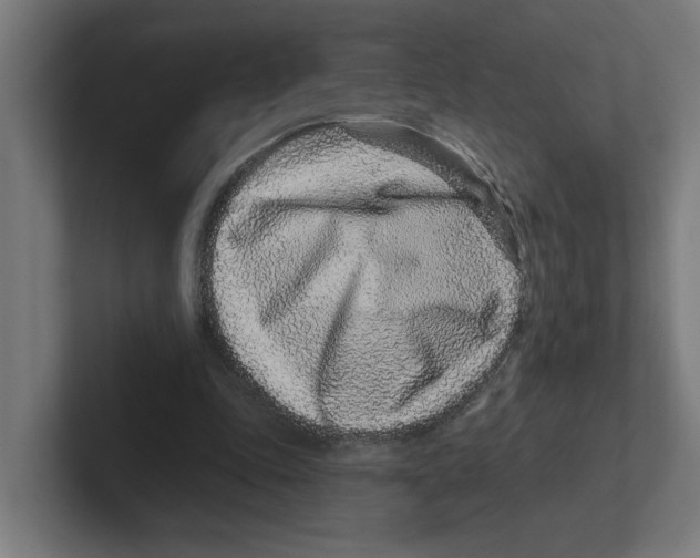 X0000102310343200808221451