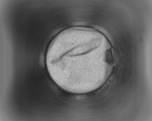 X0000102310345200808221451